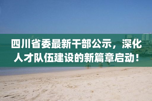 四川省委最新干部公示，深化人才隊(duì)伍建設(shè)的新篇章啟動(dòng)！