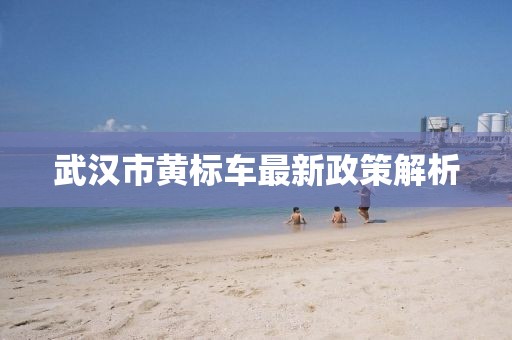 武漢市黃標(biāo)車(chē)最新政策解析