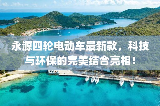 永源四輪電動(dòng)車最新款，科技與環(huán)保的完美結(jié)合亮相！