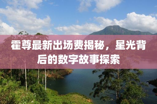 霍尊最新出場費揭秘，星光背后的數字故事探索