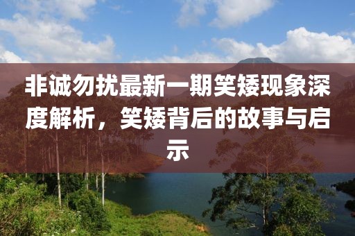 非誠勿擾最新一期笑矮現(xiàn)象深度解析，笑矮背后的故事與啟示