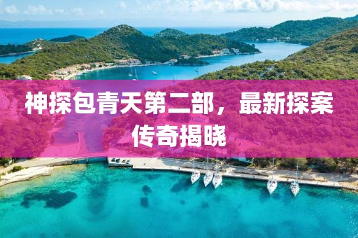 神探包青天第二部，最新探案?jìng)髌娼視? class=