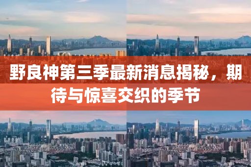 野良神第三季最新消息揭秘，期待與驚喜交織的季節(jié)