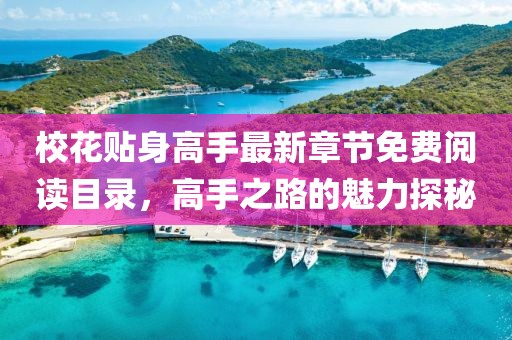 校花貼身高手最新章節(jié)免費(fèi)閱讀目錄，高手之路的魅力探秘