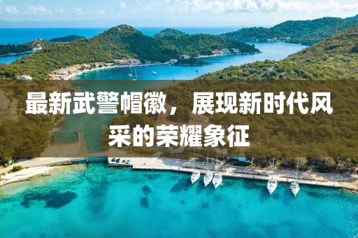 最新武警帽徽，展現(xiàn)新時(shí)代風(fēng)采的榮耀象征