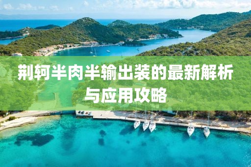 荊軻半肉半輸出裝的最新解析與應(yīng)用攻略