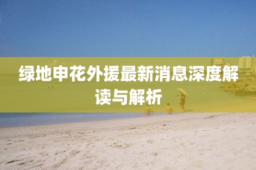 綠地申花外援最新消息深度解讀與解析