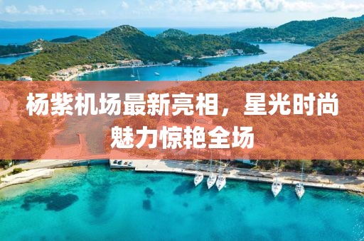 楊紫機(jī)場最新亮相，星光時尚魅力驚艷全場