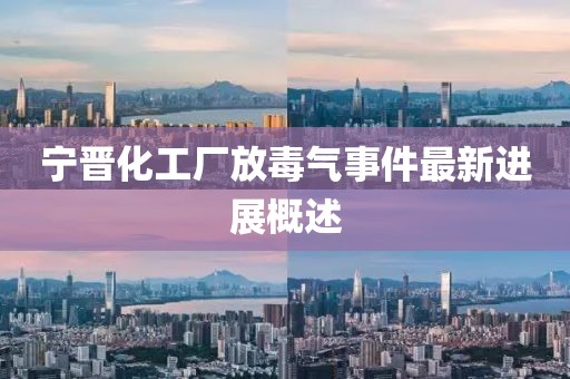寧晉化工廠放毒氣事件最新進(jìn)展概述