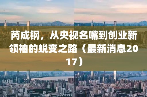芮成鋼，從央視名嘴到創(chuàng)業(yè)新領(lǐng)袖的蛻變之路（最新消息2017）