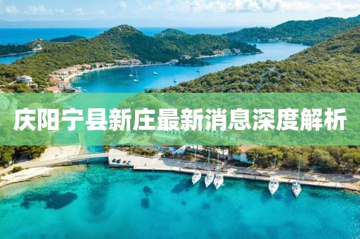 慶陽寧縣新莊最新消息深度解析