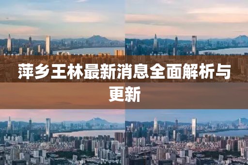 萍鄉(xiāng)王林最新消息全面解析與更新