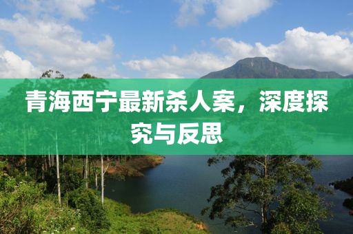 青海西寧最新殺人案，深度探究與反思