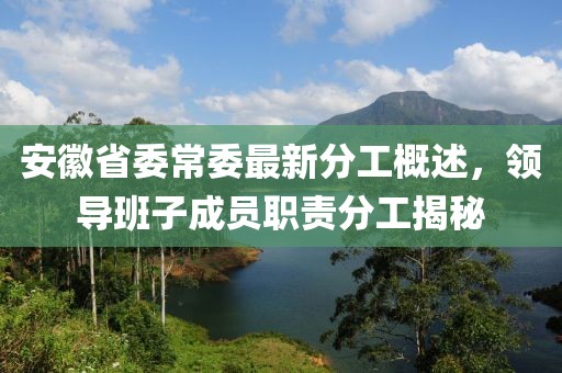安徽省委常委最新分工概述，領(lǐng)導(dǎo)班子成員職責(zé)分工揭秘