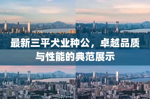 最新三平犬業(yè)種公，卓越品質(zhì)與性能的典范展示