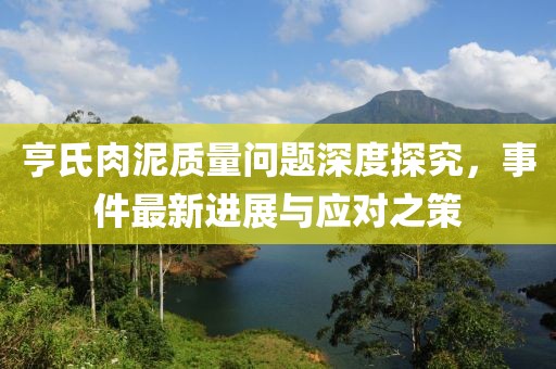 亨氏肉泥質(zhì)量問題深度探究，事件最新進(jìn)展與應(yīng)對(duì)之策
