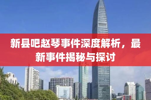 新縣吧趙琴事件深度解析，最新事件揭秘與探討