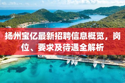 揚(yáng)州寶億最新招聘信息概覽，崗位、要求及待遇全解析