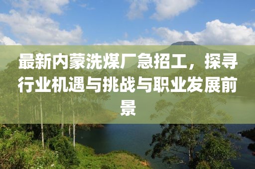 最新內(nèi)蒙洗煤廠急招工，探尋行業(yè)機(jī)遇與挑戰(zhàn)與職業(yè)發(fā)展前景
