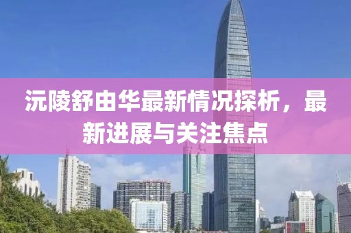 沅陵舒由華最新情況探析，最新進(jìn)展與關(guān)注焦點(diǎn)