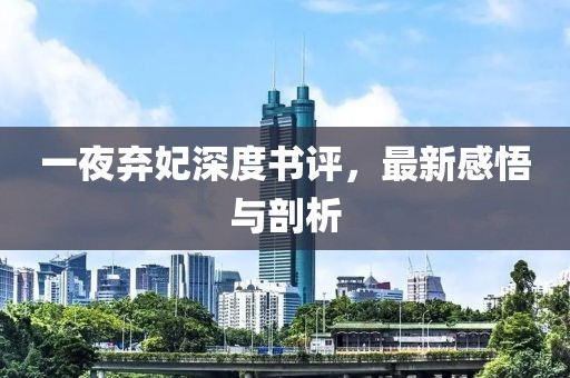 一夜棄妃深度書(shū)評(píng)，最新感悟與剖析