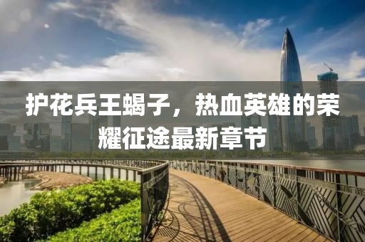 護(hù)花兵王蝎子，熱血英雄的榮耀征途最新章節(jié)