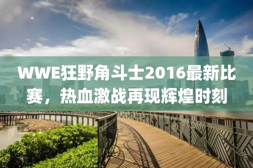 WWE狂野角斗士2016最新比賽，熱血激戰(zhàn)再現(xiàn)輝煌時刻