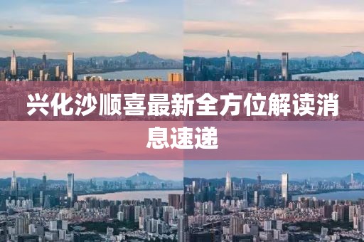 興化沙順喜最新全方位解讀消息速遞