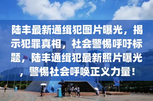 陸豐最新通緝犯圖片曝光，揭示犯罪真相，社會警惕呼吁標題，陸豐通緝犯最新照片曝光，警惕社會呼喚正義力量！