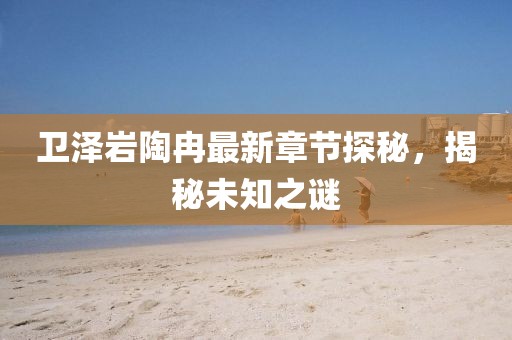 寂寞安撫 第17頁