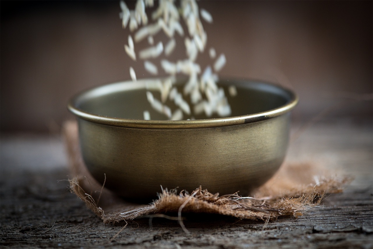 湛江御景珺庭最新動(dòng)態(tài)揭秘，城市璀璨明珠的隱藏魅力
