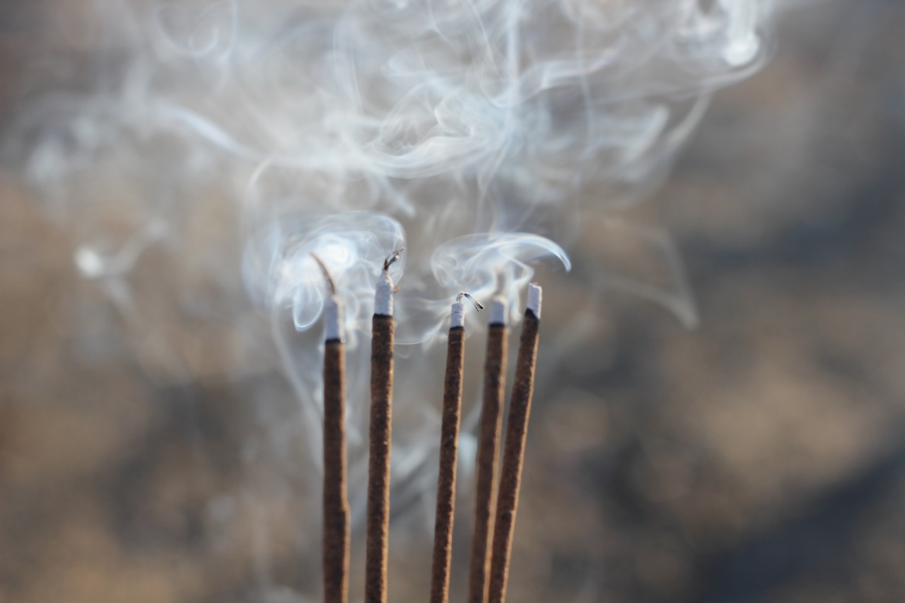 昆山溪香米蘭最新動態(tài)揭秘，最新消息一覽無余