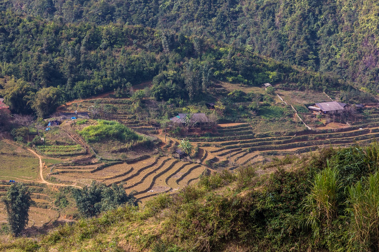 符離鎮(zhèn)最新規(guī)劃圖揭曉，展望繁榮未來，符離鎮(zhèn)2016規(guī)劃展望