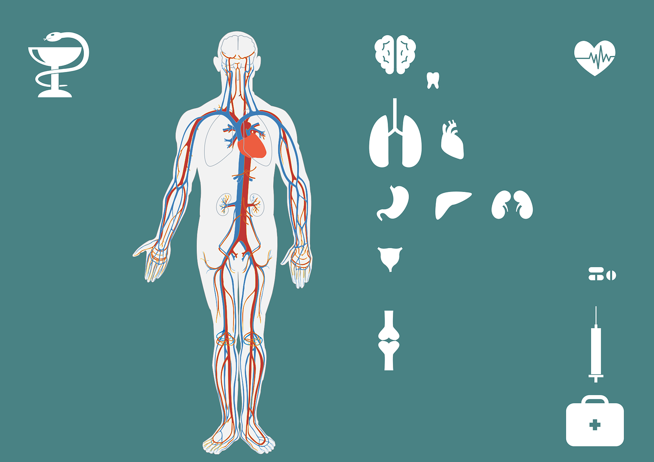急診搶救流程圖優(yōu)化，提升搶救成功率與急救服務(wù)質(zhì)量