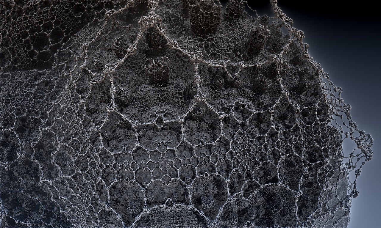 遼寧隋顯利最新動態(tài)，傳奇人物的嶄新篇章