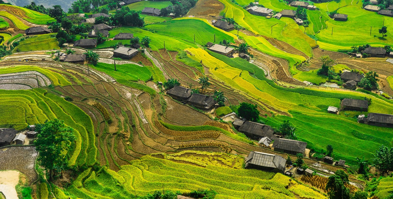 中緬合作新篇章，運(yùn)八飛機(jī)在緬甸的最新動(dòng)態(tài)與消息