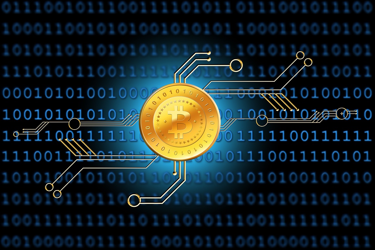 最新傳染病分類及種類概述，全面解析傳染病的世界